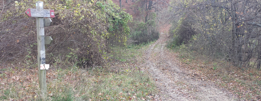 Parco Sasso Simone e Simoncello Sentiero 102 - immagine 4