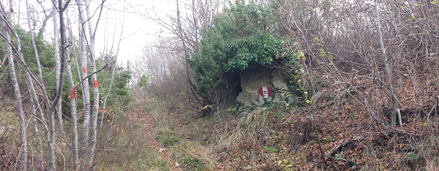 Parco Sasso Simone e Simoncello Sentiero 102 - immagine 5