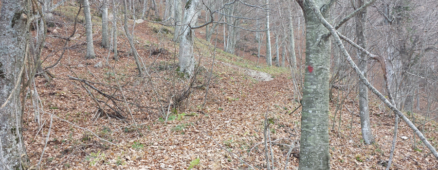 Parco Sasso Simone e Simoncello Sentiero 102 - immagine 7