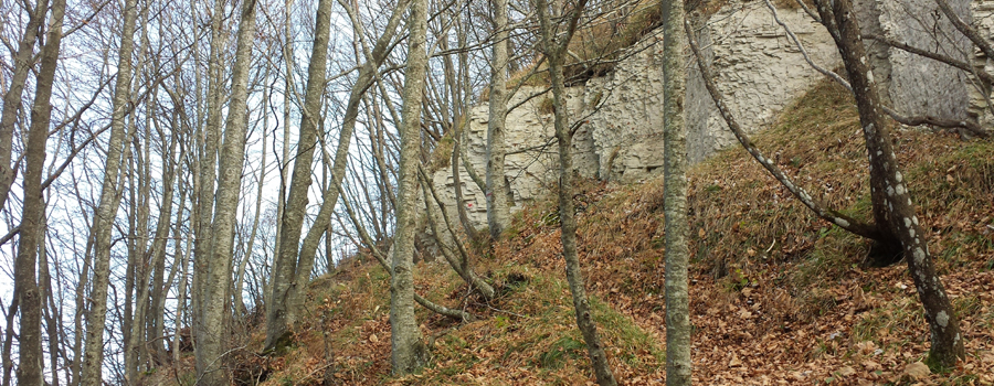 Parco Sasso Simone e Simoncello Sentiero 102 - immagine 8