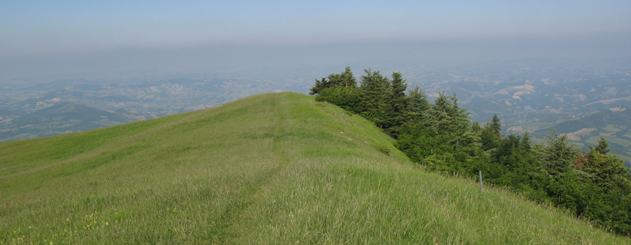 Parco Sasso Simone e Simoncello Sentiero 102 - immagine 14