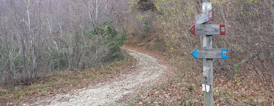 Parco Sasso Simone e Simoncello Sentiero 102A - immagine 1