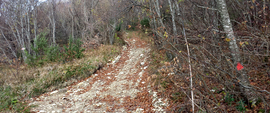 Parco Sasso Simone e Simoncello Sentiero 102A - immagine 2