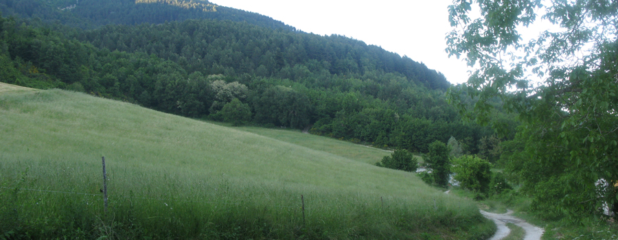 Parco Sasso Simone e Simoncello Sentiero 104 - immagine 3