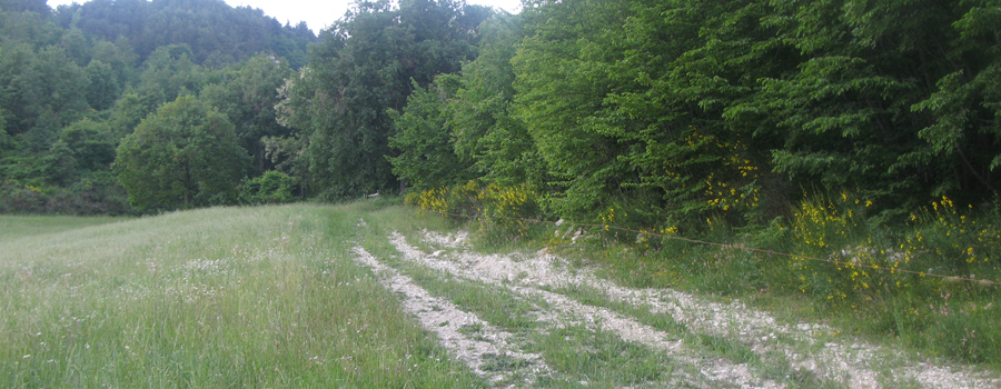 Parco Sasso Simone e Simoncello Sentiero 104 - immagine 4