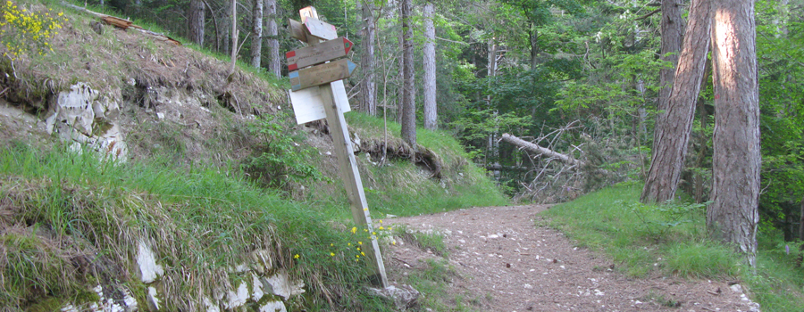 Parco Sasso Simone e Simoncello Sentiero 104 - immagine 6