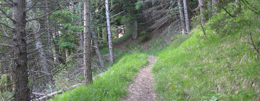 Parco Sasso Simone e Simoncello Sentiero 104 - immagine 9