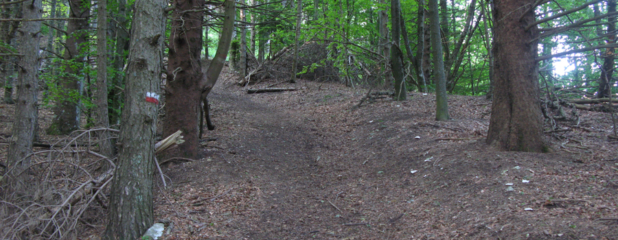 Parco Sasso Simone e Simoncello Sentiero 104 - immagine 10