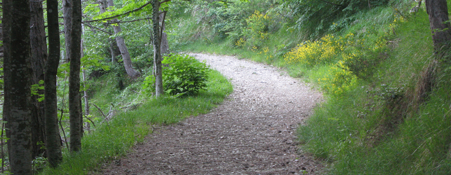 Parco Sasso Simone e Simoncello Sentiero 104/A - immagine 3
