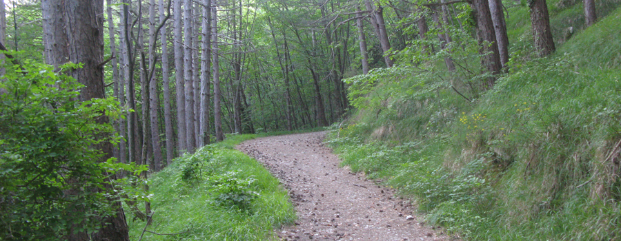 Parco Sasso Simone e Simoncello Sentiero 104/A - immagine 4