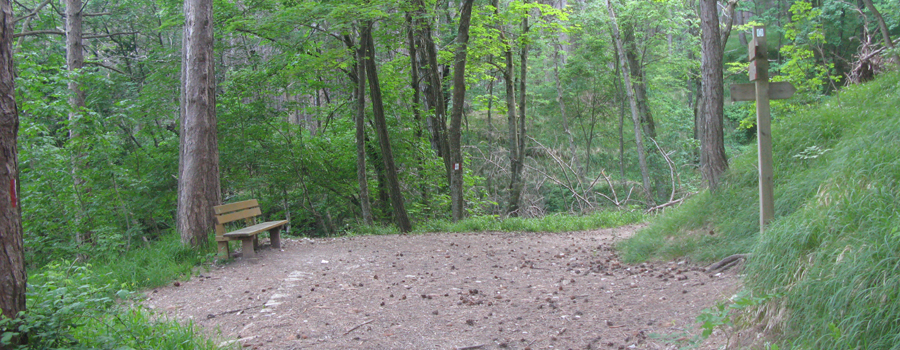 Parco Sasso Simone e Simoncello Sentiero 104/A - immagine 5