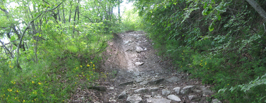 Monte Carpegna Sentiero 105 - immagine 3