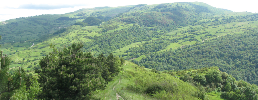 Monte Carpegna Sentiero 105 - immagine 7