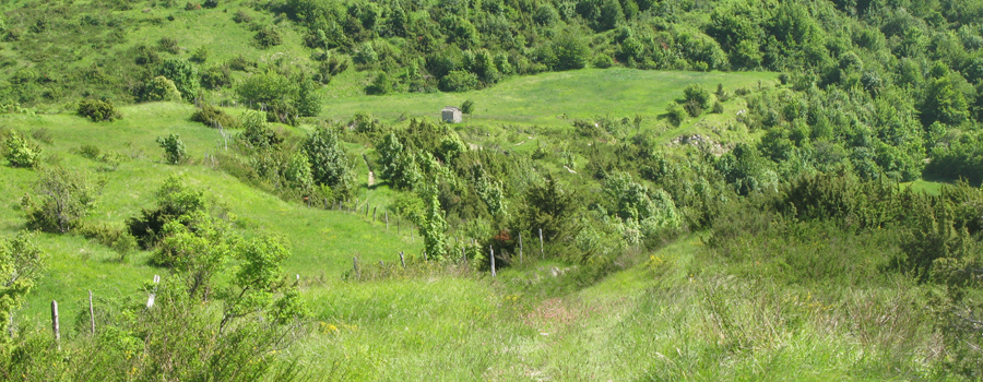 Monte Carpegna Sentiero 105 - immagine 8