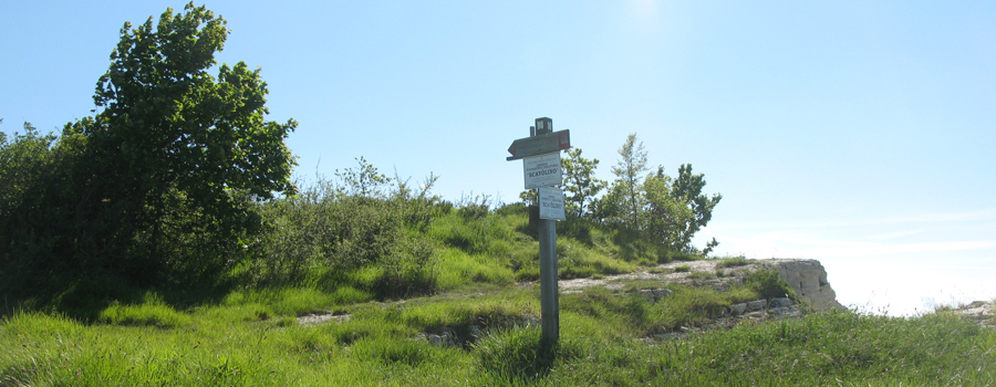 Monte Carpegna Sentiero 105 - immagine 10 (Passo del Trabocchetto)