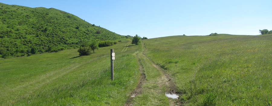 Monte Carpegna Sentiero 105 - immagine 11