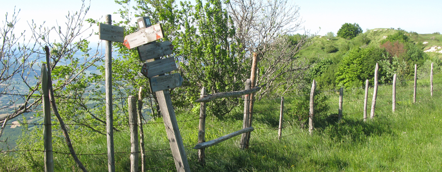 Monte Carpegna Sentiero 105 - immagine 12 (Passo dei Ladri)