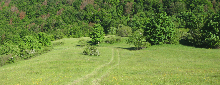 Monte Carpegna Sentiero 105/A - immagine 2