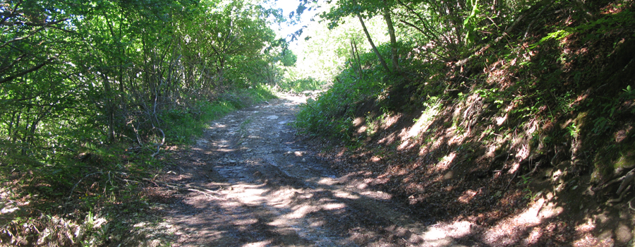Monte Carpegna Sentiero 105/A - immagine 5