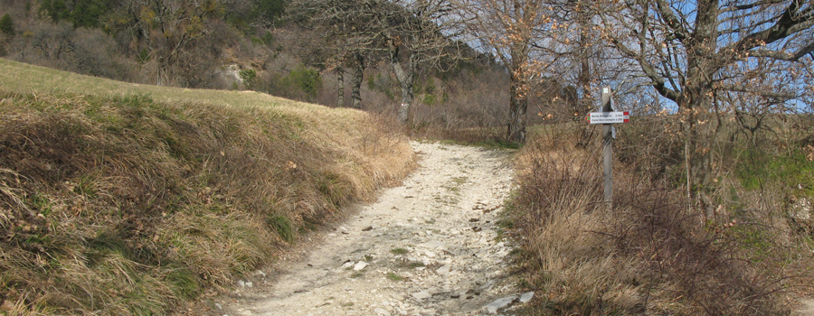 Monte Carpegna Sentiero 106 - immagine 1