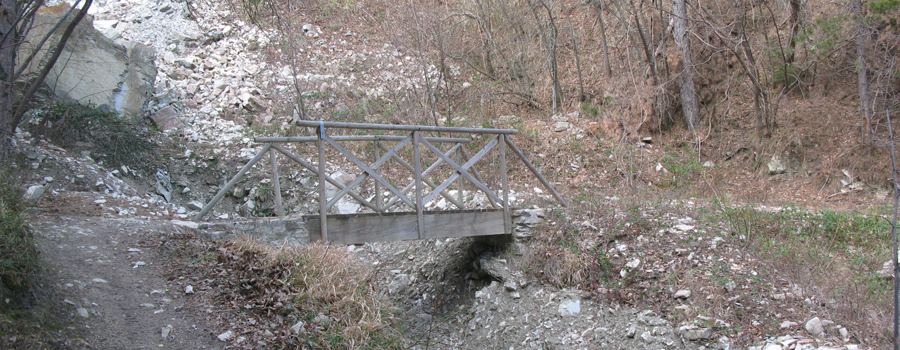 Monte Carpegna Sentiero 106 - immagine 2