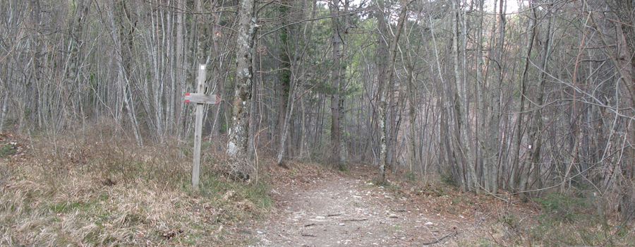 Monte Carpegna Sentiero 106 - immagine 3