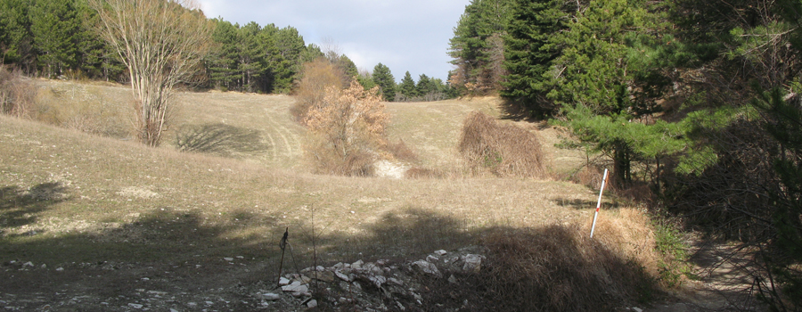 Monte Carpegna Sentiero 106 - immagine 4