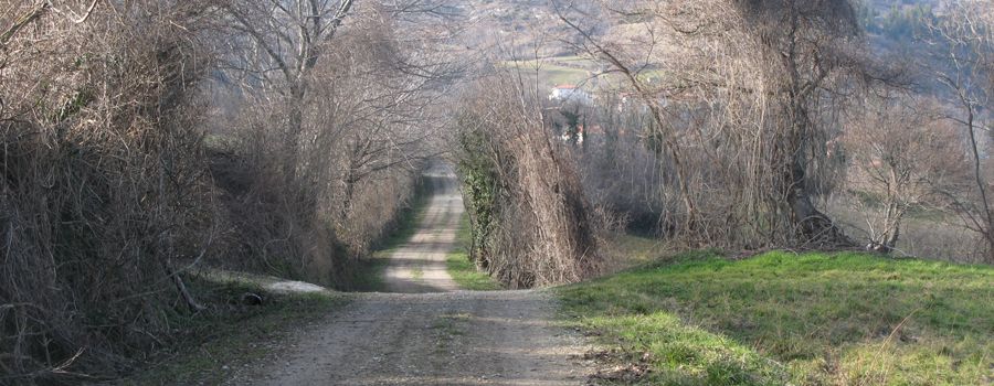 Monte Carpegna Sentiero 106 - immagine 7