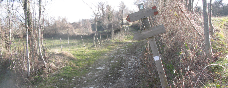 Monte Carpegna Sentiero 106 - immagine 8