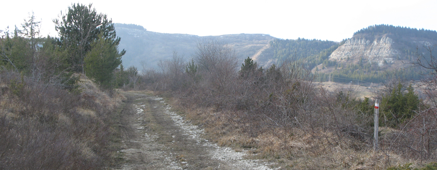Monte Carpegna Sentiero 106 - immagine 9