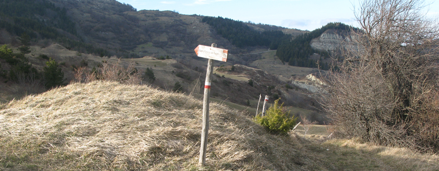 Monte Carpegna Sentiero 106 - immagine 11