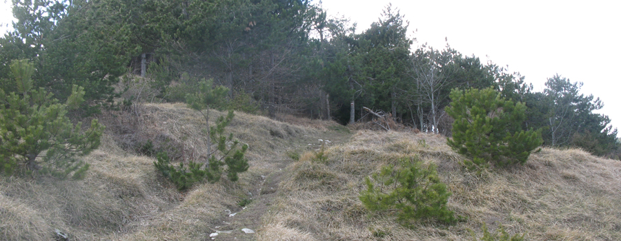 Monte Carpegna Sentiero 106 - immagine 12