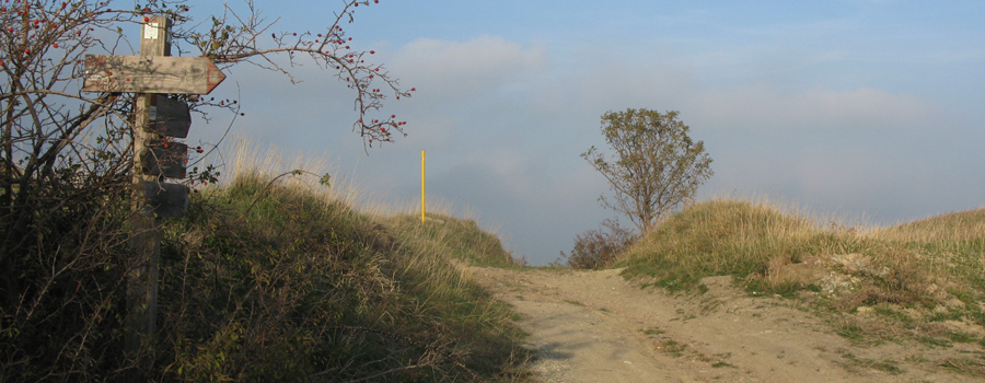 Monte Carpegna Sentiero 107 - immagine 1