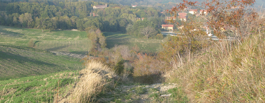 Monte Carpegna Sentiero 107 - immagine 2