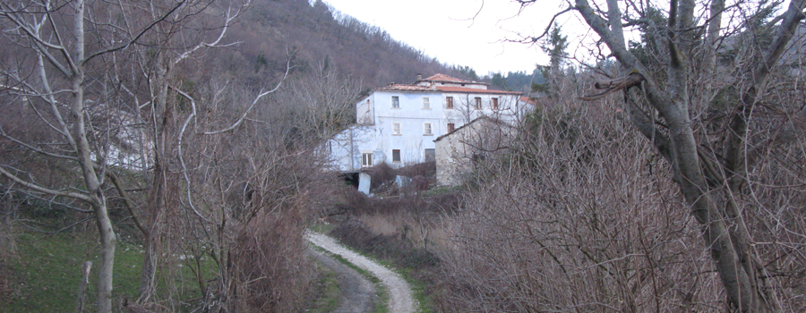 Monte Carpegna Sentiero 107 - immagine 5 (Cacciamarra)