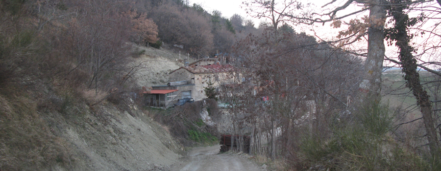 Monte Carpegna Sentiero 107 - immagine 6