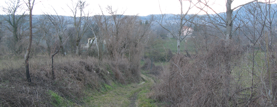 Monte Carpegna Sentiero 107 - immagine 12