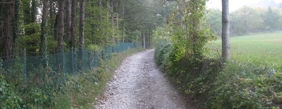 Monte Carpegna Sentiero 107A - immagine 2