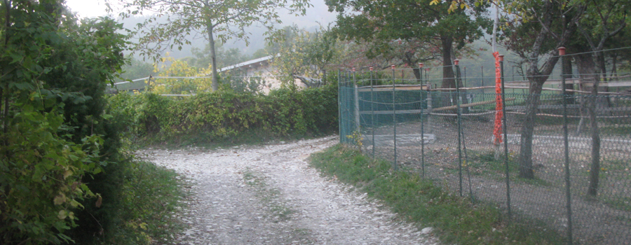 Monte Carpegna Sentiero 107A - immagine 3