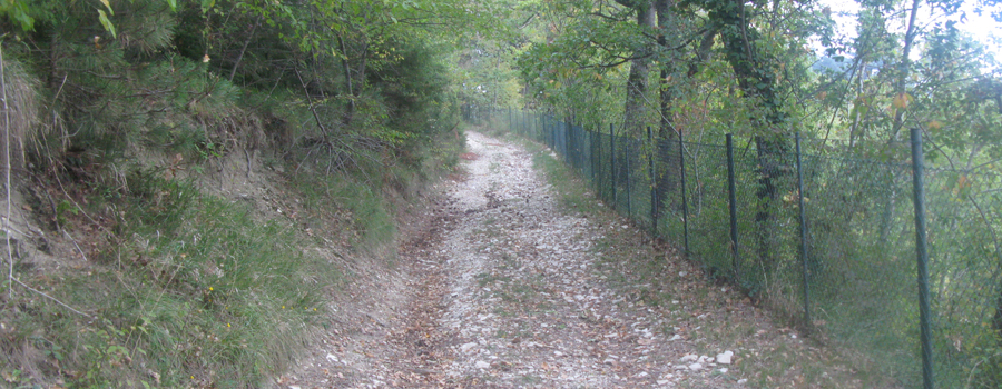Monte Carpegna Sentiero 107A - immagine 5