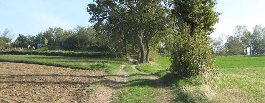 Monte Carpegna Sentiero 108 - immagine 2