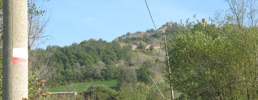 Monte Carpegna Sentiero 108 - immagine 3