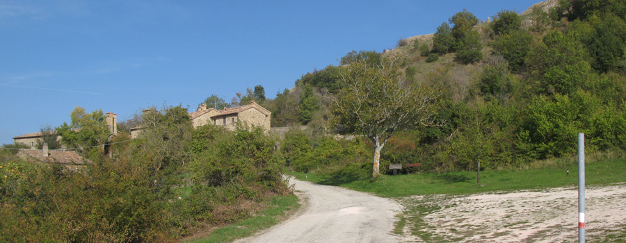 Monte Carpegna Sentiero 108 - immagine 4