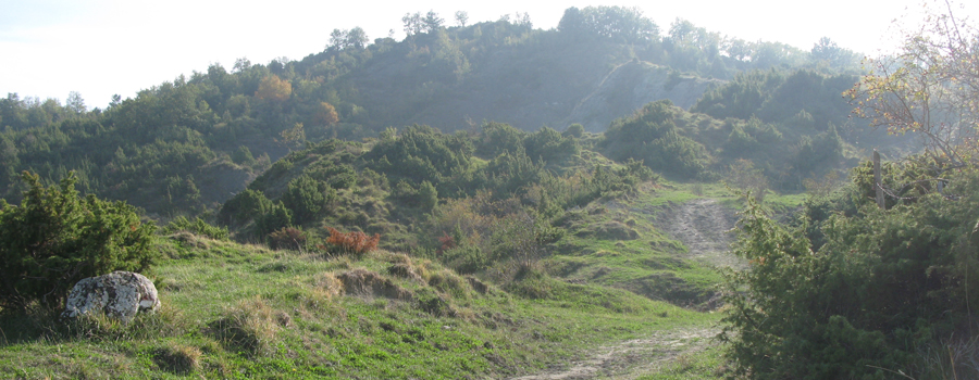 Monte Carpegna Sentiero 108 - immagine 5