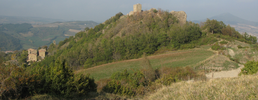 Monte Carpegna Sentiero 108 - immagine 6 (Pietrarubbia)