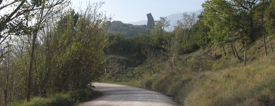 Monte Carpegna Sentiero 108 - immagine 7