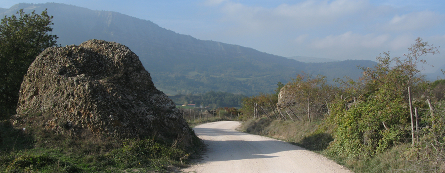 Monte Carpegna Sentiero 108 - immagine 9