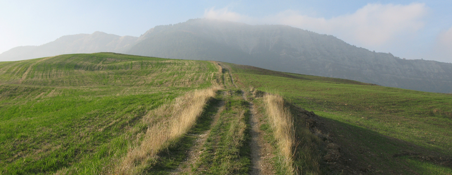 Monte Carpegna Sentiero 108 - immagine 10