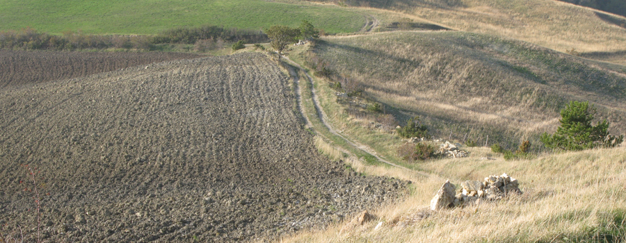 Monte Carpegna Sentiero 108 - immagine 11