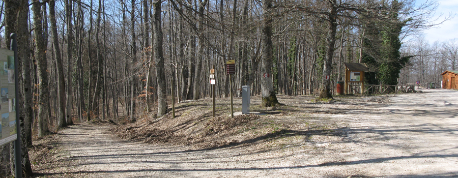 Parco Sasso Simone e Simoncello Sentiero 118 - immagine 2